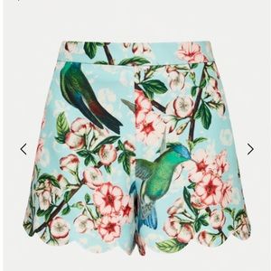 Ted Baker Shorts | Size 0, US Size 2